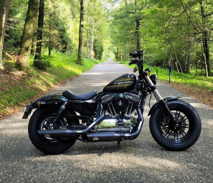 Picture of HARLEY-DAVIDSON Sportster (2020)