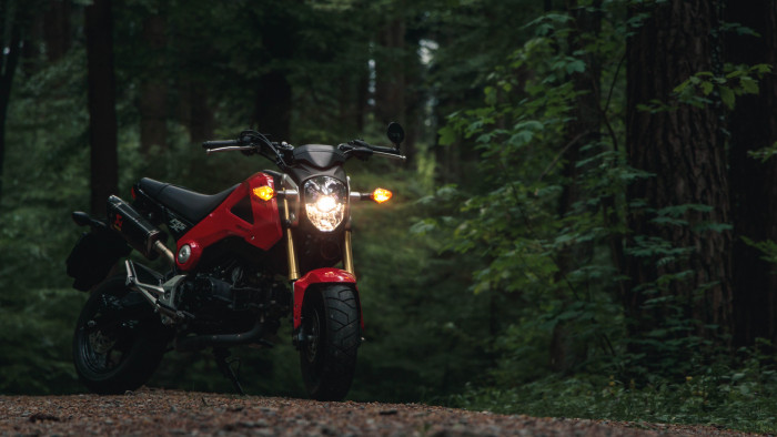 Picture of HONDA MSX (2016)