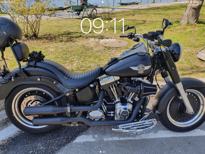 Picture of HARLEY-DAVIDSON Softail (2013)