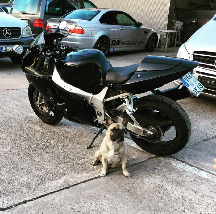 Photo of SUZUKI GSX-R 750 (2002)