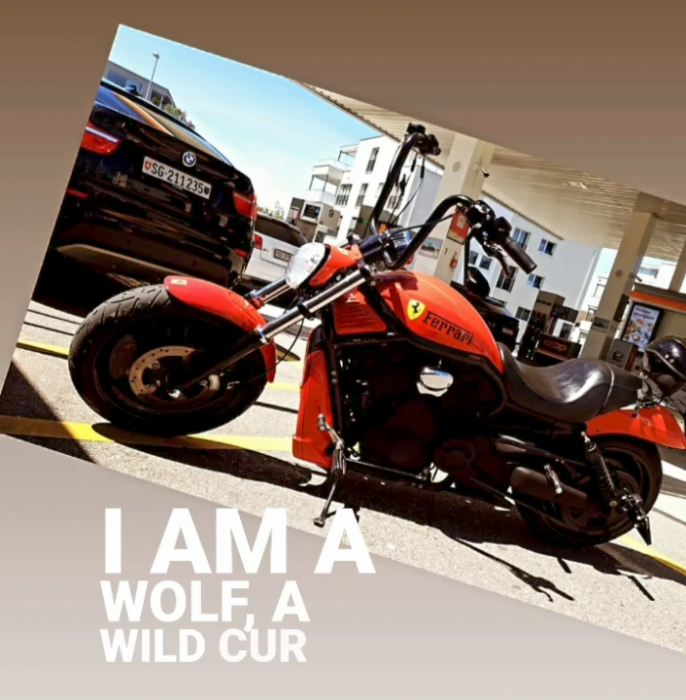 Photo of HARLEY-DAVIDSON VRSC (2005)