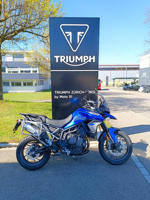 Picture of TRIUMPH Tiger (2023)