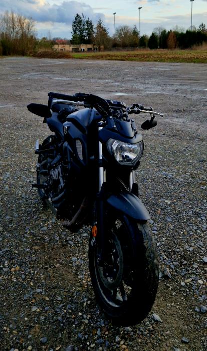 Photo of YAMAHA MT-07 (2020)