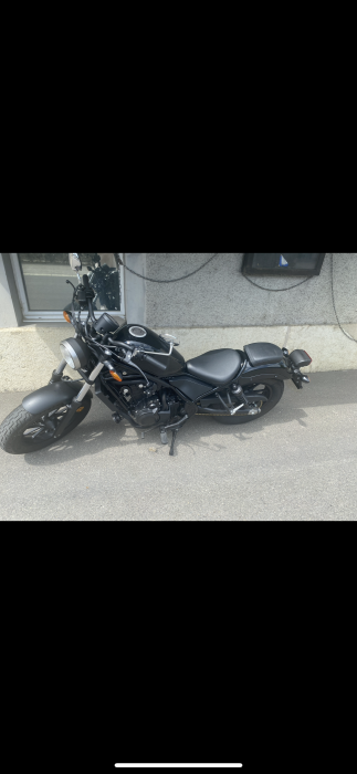 Picture of HONDA CMX 500 (2018)