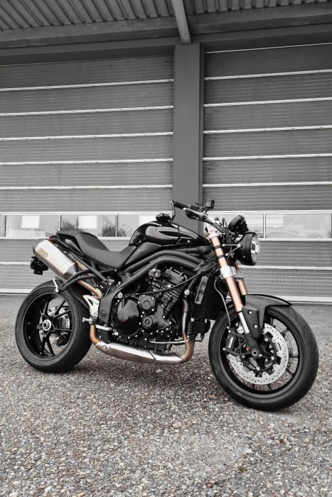 Picture of TRIUMPH Speed Triple (2011)