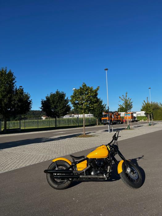 Photo of YAMAHA XVS 650 (2002)