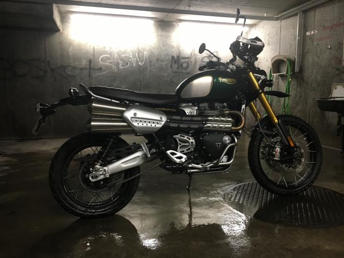 Picture of TRIUMPH Scrambler (2021)