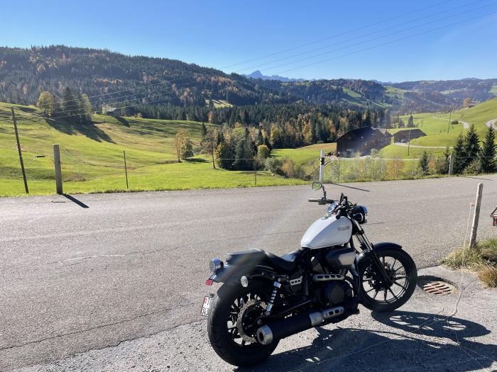Picture of YAMAHA XV 950 (2015)