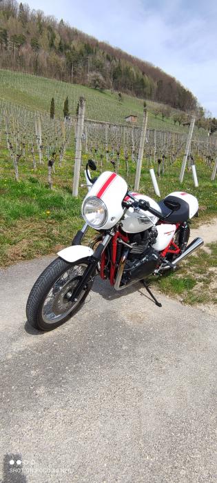 Picture of TRIUMPH Thruxton (2011)