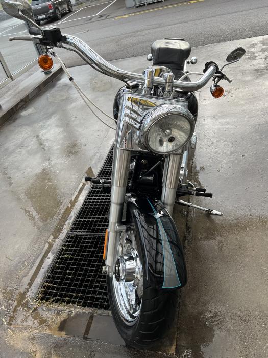 Photo of HARLEY-DAVIDSON Softail (2009)