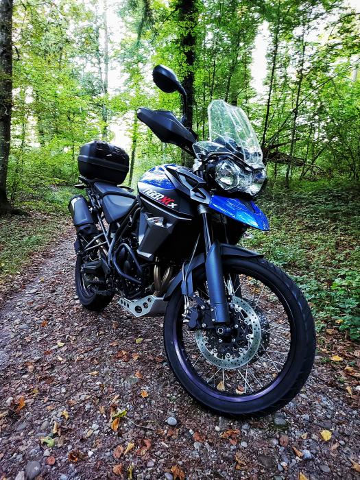 Photo of TRIUMPH Tiger (2015)
