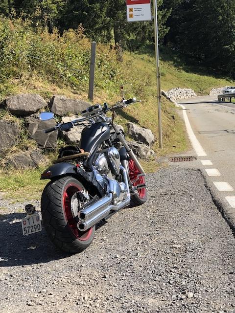 Picture of HONDA VT 1300 (2010)
