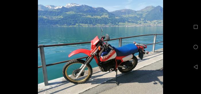 Photo of HONDA XL 600 (1984)