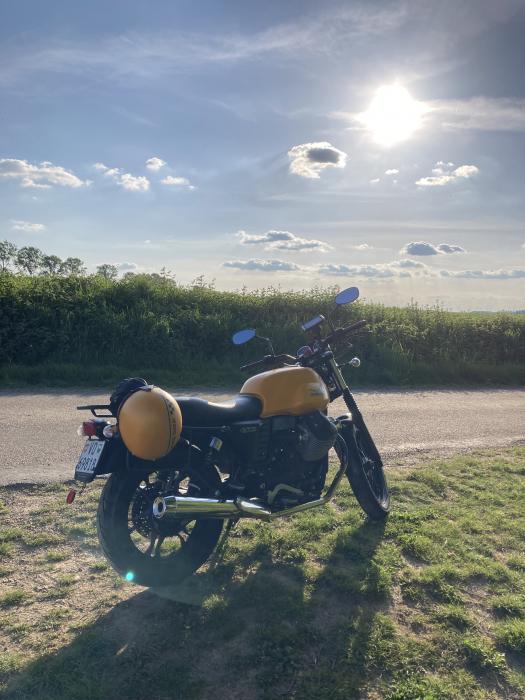 Photo of MOTO GUZZI V7 (2016)