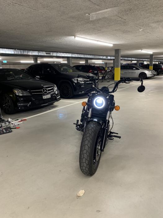 Picture of INDIAN SCOUT (2021)