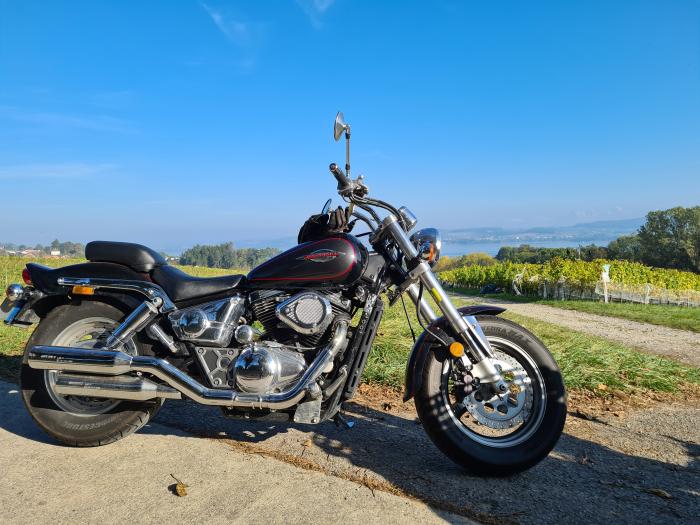 Photo of SUZUKI VZ MARAUDER (1997)