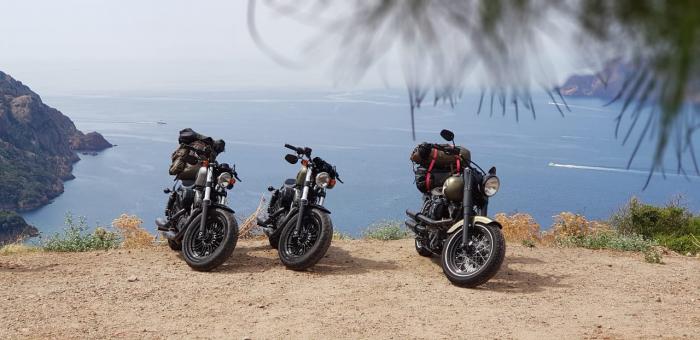Picture of HARLEY-DAVIDSON Softail (2015)