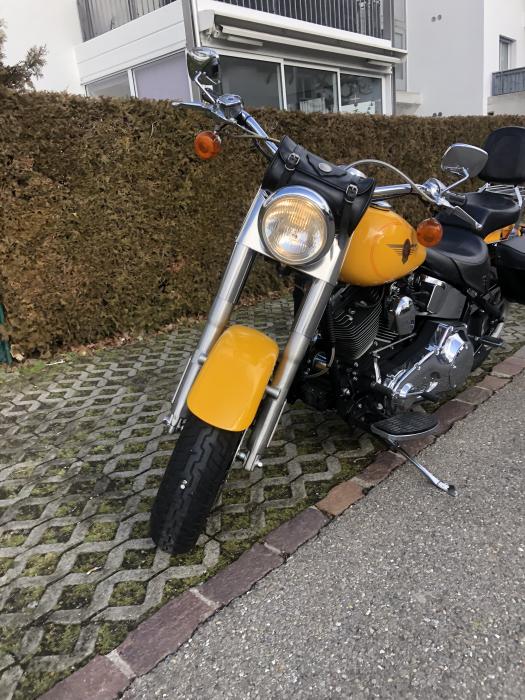 Photo of HARLEY-DAVIDSON Softail (2000)