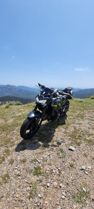 Picture of KAWASAKI Z 900 (2021)