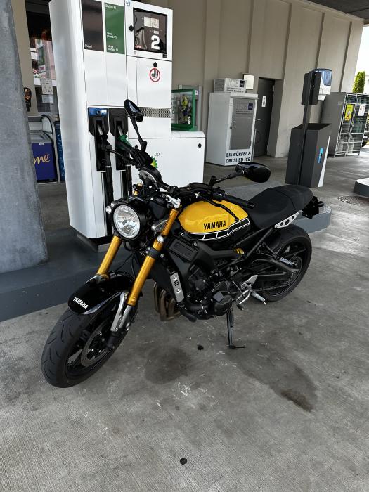 Picture of YAMAHA XSR 900 (2019)