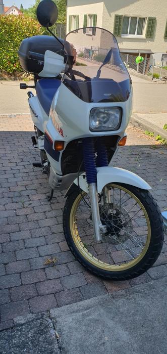 Photo of HONDA XL 600 (1987)