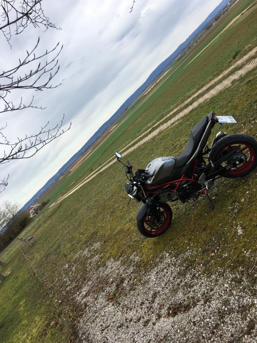 Photo of SUZUKI SV 650 (2019)