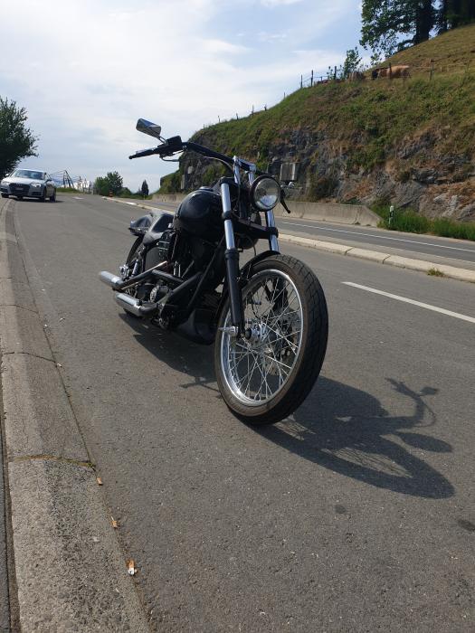 Picture of HARLEY-DAVIDSON Softail (1999)