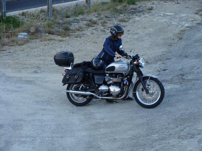 Picture of TRIUMPH Bonneville (2008)