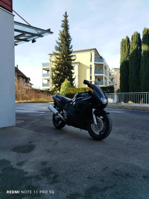 Photo of SUZUKI RF (1996)