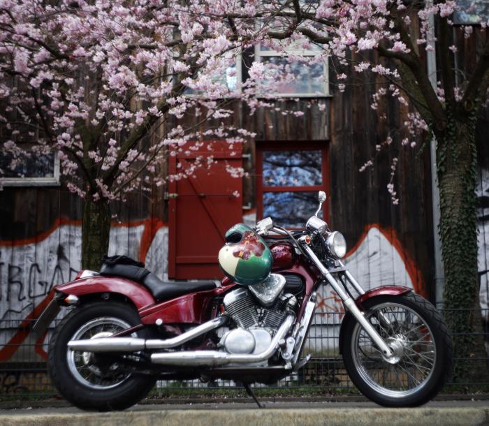 Photo of HONDA VT 600 (1988)