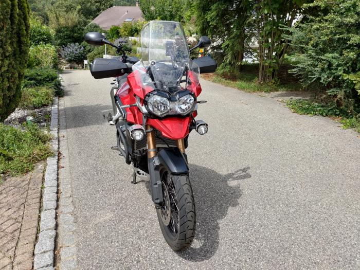 Picture of TRIUMPH Tiger (2015)