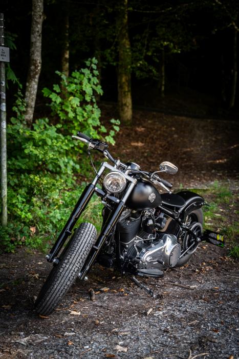 Photo of HARLEY-DAVIDSON Softail (2013)