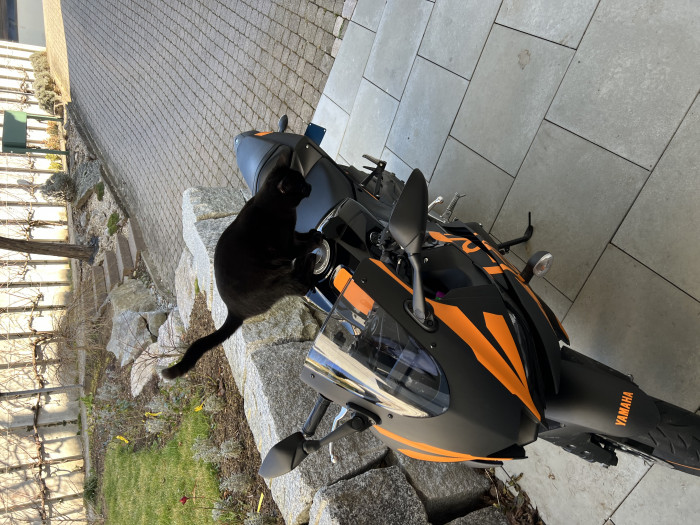Photo of YAMAHA YZF-R3 (2021)