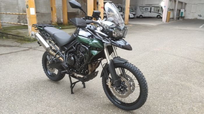 Picture of TRIUMPH Tiger (2012)